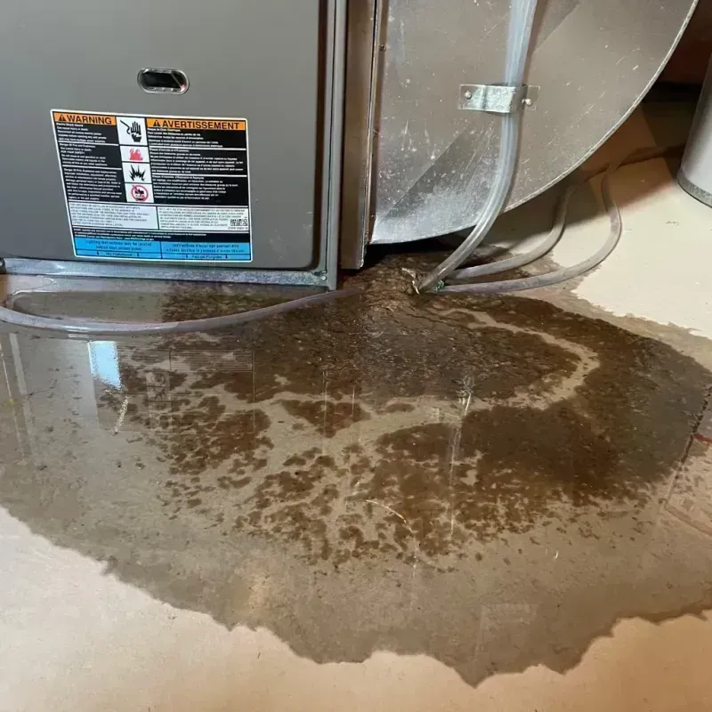 Appliance Leak Cleanup in Windsor, MO